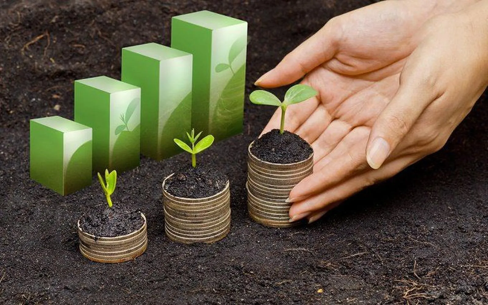 Eco-Friendly Investment Strategies: Building Wealth with Purpose