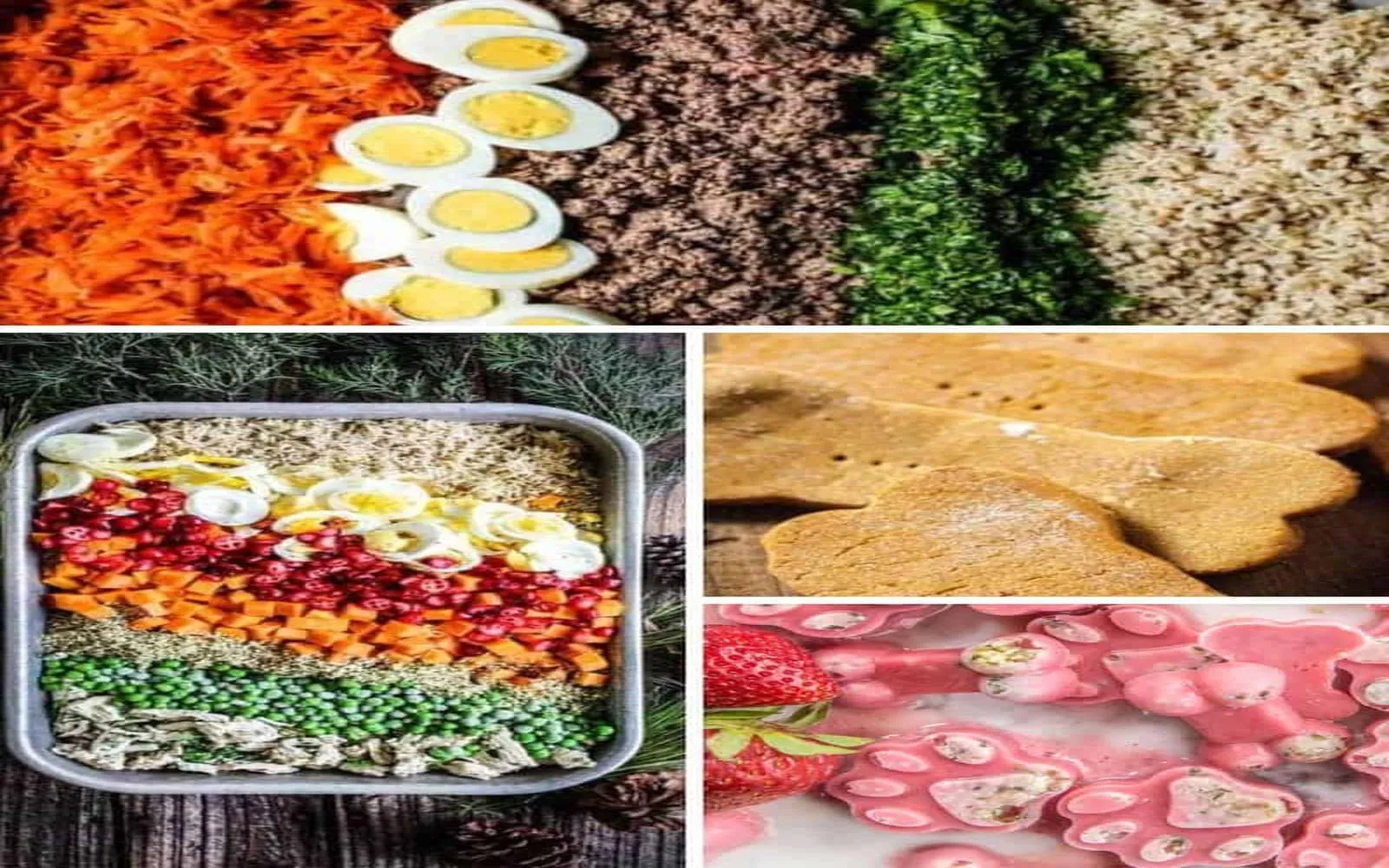 Nutritious Dog Food Delivered: Top Choices for Your Furry Friend's Well-Being