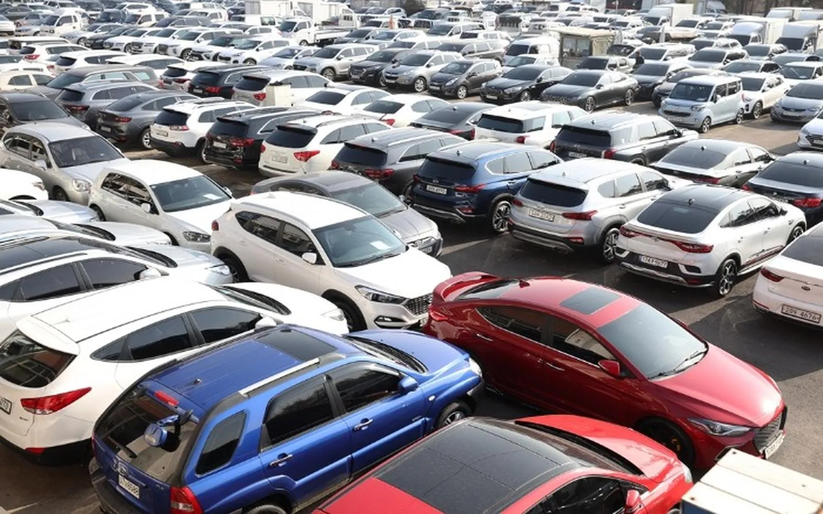 March 2025 Insights: Key Trends Shaping the US Automotive Market