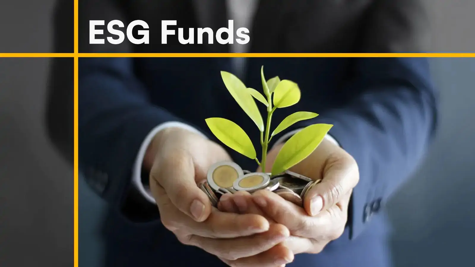 Investing with Purpose: A Beginner’s Guide to ESG Funds in 2025