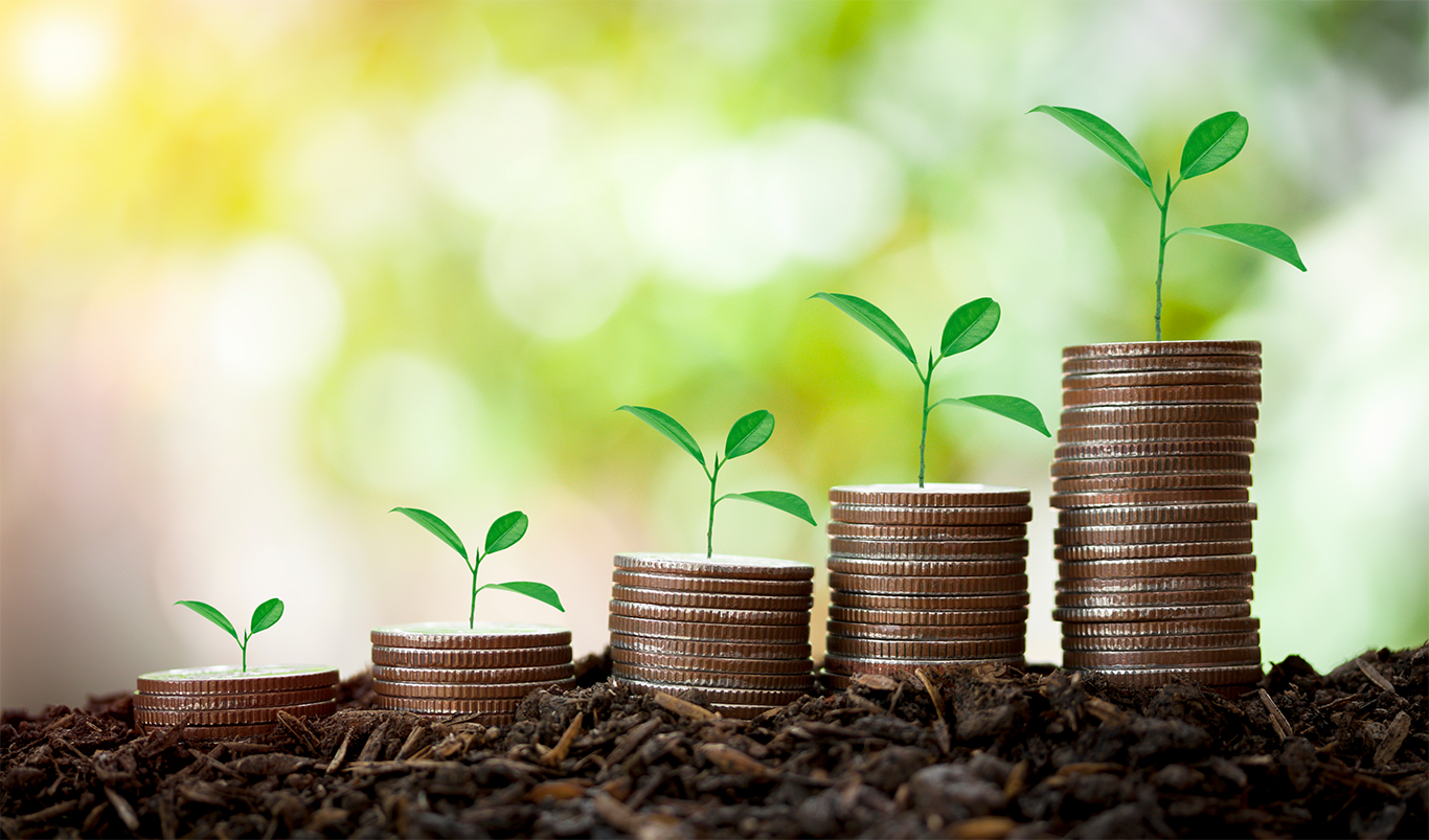 A Beginner’s Guide to Eco-Friendly Investing in 2025