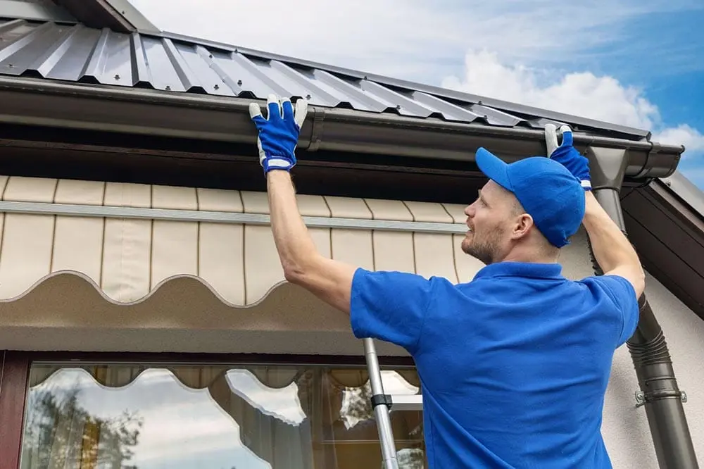Find the Best Local Gutter Protection Solutions for Your Home